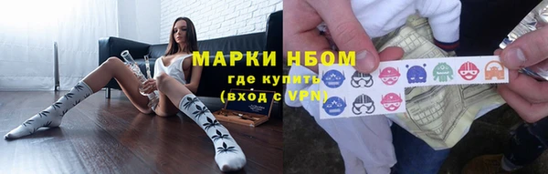 стафф Арсеньев