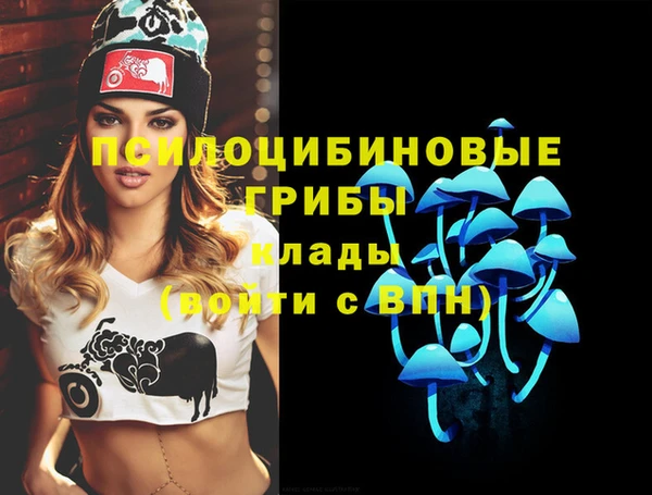 твердый Белоозёрский