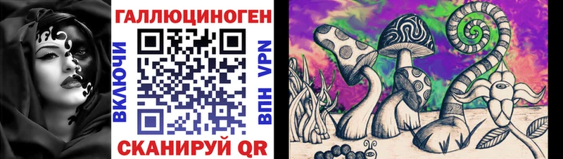 что такое   Долинск  Псилоцибиновые грибы Psilocybe 